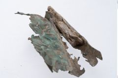 Foto von Bronzebreitrandschüssel (NHMW-PRAE-002321)